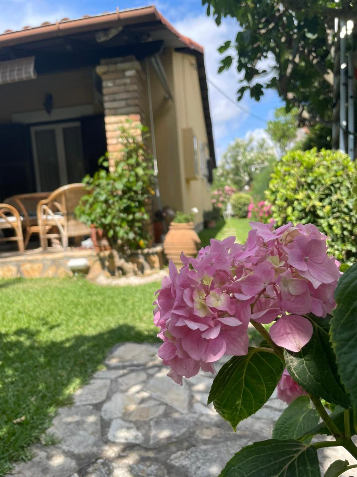 Villa Tina Country Beach Apartments Acharavi  Phòng bức ảnh