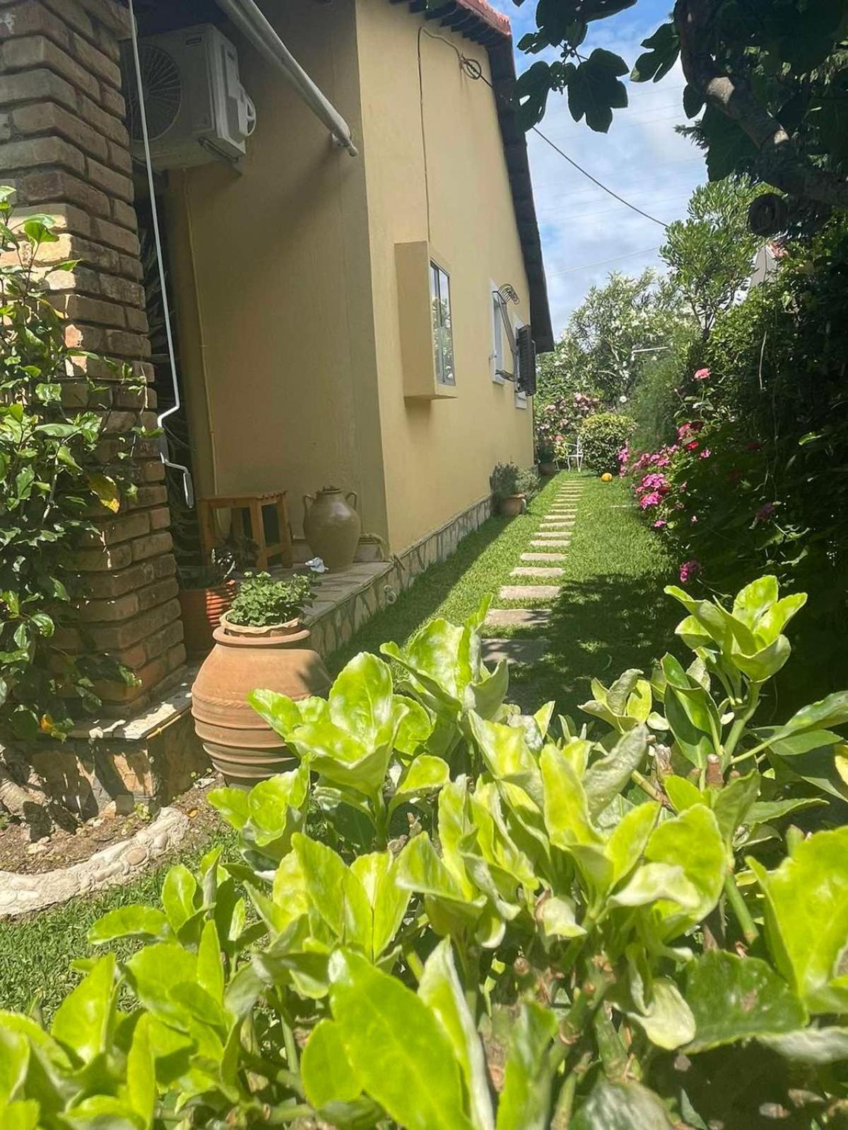 Villa Tina Country Beach Apartments Acharavi  Phòng bức ảnh