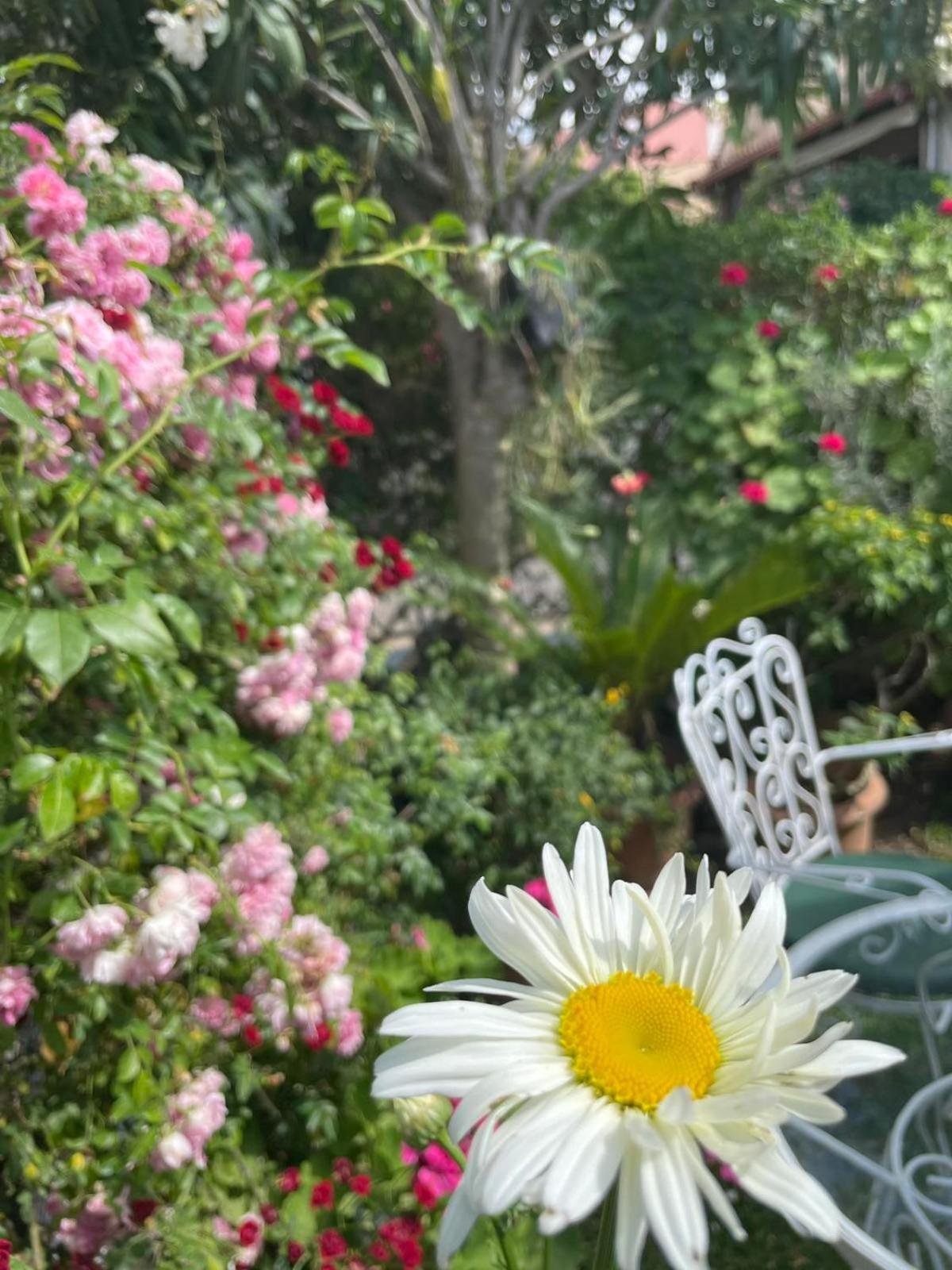 Villa Tina Country Beach Apartments Acharavi  Phòng bức ảnh