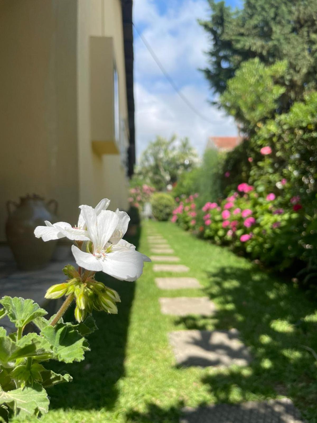 Villa Tina Country Beach Apartments Acharavi  Phòng bức ảnh