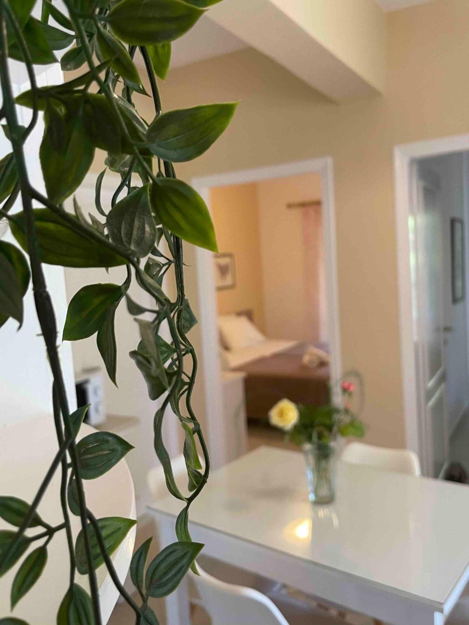 Villa Tina Country Beach Apartments Acharavi  Phòng bức ảnh